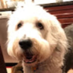 Meet your Posher, Maggie